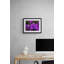 Purple Daisies Print by Tom Kostes