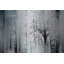 Gearoid Wild Trees by Parvez Taj - Print on Metal-344950805