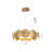 1-Light Brass Halo Ring Chandelier With Acrylic Diffusers