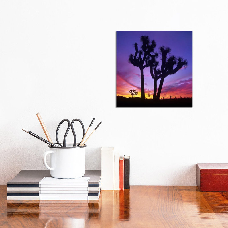 Joshua Tree Group At Sunrise Near Quail Springs by Tim Fitzharris - Wrapped Canvas Print, 30.48 cm H x 30.48 cm W