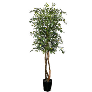 Olive artificiel de luxe 6,5 po fait à la main Cypress & Alabaster
