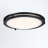 Severa Acrylic LED Flush Mount 2 pack-313827201