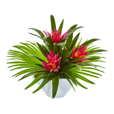 Bromeliad Arrangement in Vase