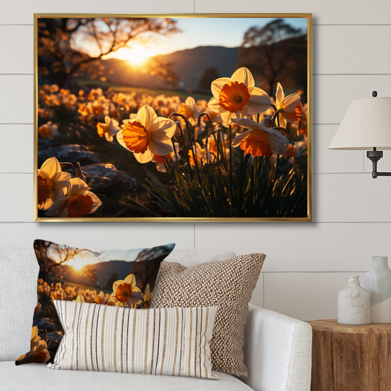 Daffodils Field Sunrise III - Floral Wall Art Prints, H 16 po x l 32 po, Cadre flottant doré