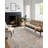 Rosemarie Oriental Indoor Rug-1594171636