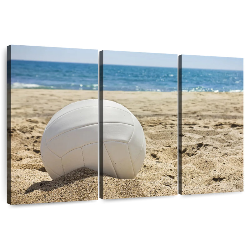 Sireci Volleyball, 20" H x 33" W