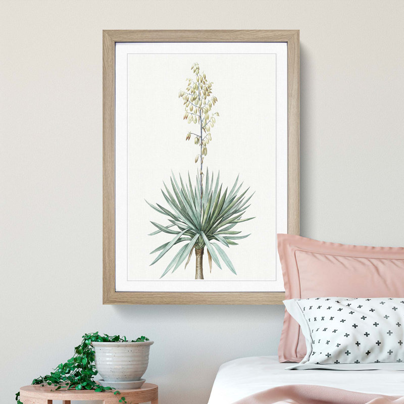Adams Needle Yucca Flowers by Pierre-Joseph Redoute - Single Picture Frame Painting, 33cm H x 24cm W x 2cm D, Oak Framed