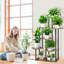 Plant Stand - Set of 8