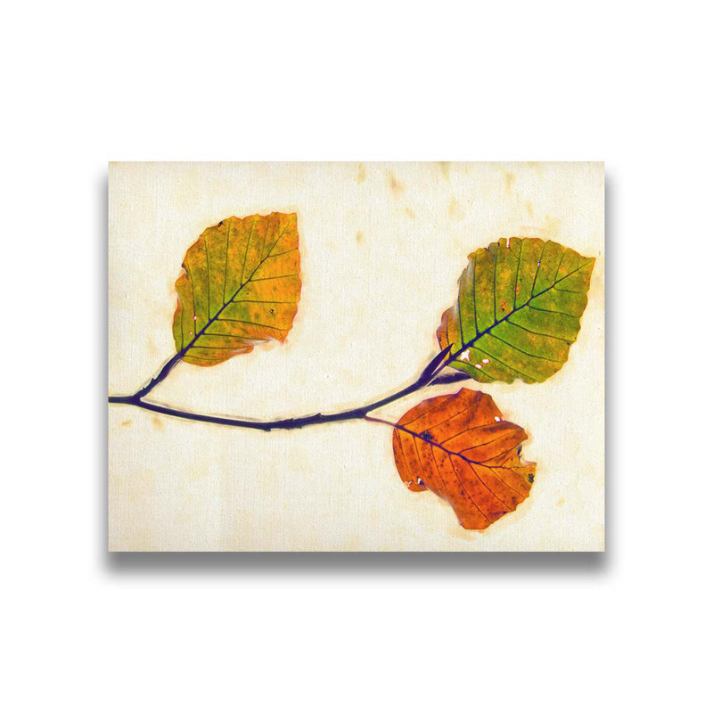 Gravure d'automne III par Hal Halli. Impression sur papier - Montée et encadrée, H 44 po x l 54 po