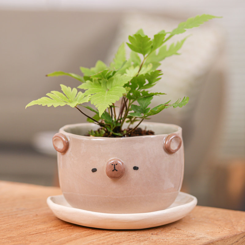 Dakota Fields Handmade Bear Blossoming Ceramic Flower Pot