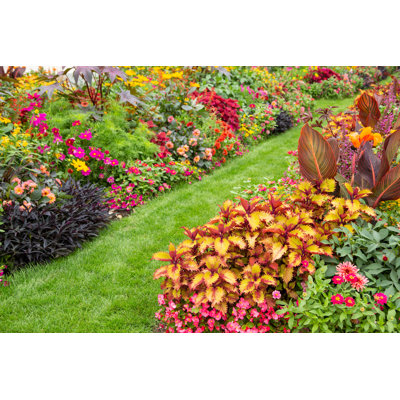 Colorful Flower Garden by Basieb