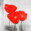 Three Poppies - Toile encadrée industrielle grise pour la décoration intérieure