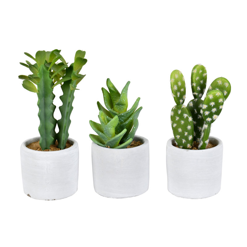 Ensemble de 3 cactus artificiels en pot