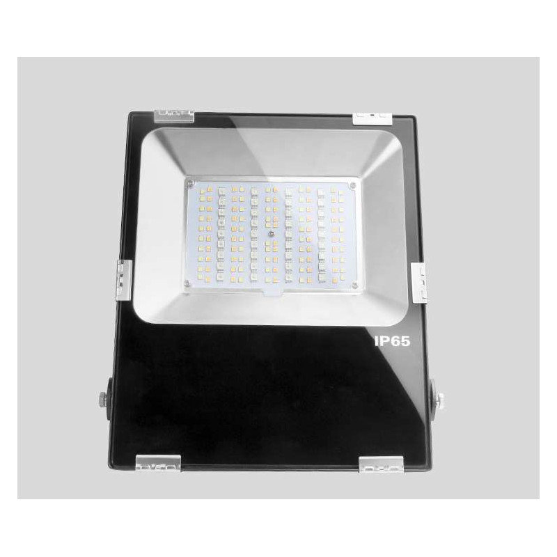 Carnageeragh Extra Flat Flood Light