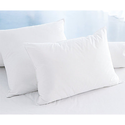 Ensemble de coussins en microfibre de qualité supérieure (2 pièces), 20 po x 28 po | Bourre en silicone souple, 700 g / m² | Lavable à la machine à 30 ° C, couleur blanche luxueuse | Parfait pour un confort et un soutien ultimes dans n'importe quel