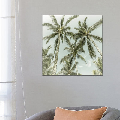 Lovely Palm Trees | Vintage by Melanie Viola - Wrapped Canvas Gallery-Wrapped Canvas Giclée