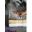 Spa Bath Sheet
