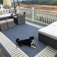 Garrettsville Animal Print Flatweave Navy Indoor / Outdoor Area Rug Three Posts Rug Size: Rectangle 5'3 x 7'3