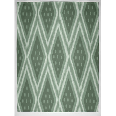 Thane Ikat Blanket