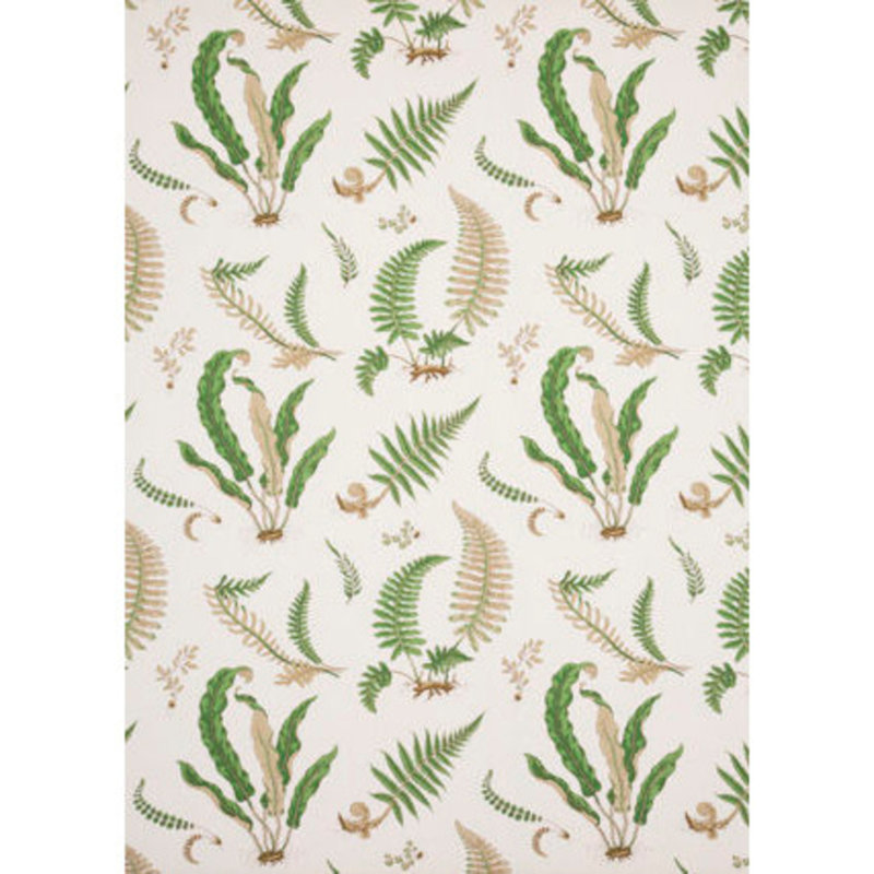 Ferns Fabric