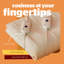 Silentnight Dual Control Electric Blanket - Heated Under blanket with split control and 3 settings-40071220