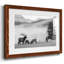Mountain Elk - impression d'un seul cadre photo-314459178