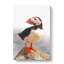 An Atlantic Puffin - Wrapped Canvas-56644393