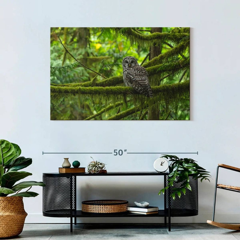 Brampt Mossy Tree Owl, 30" H x 45" W