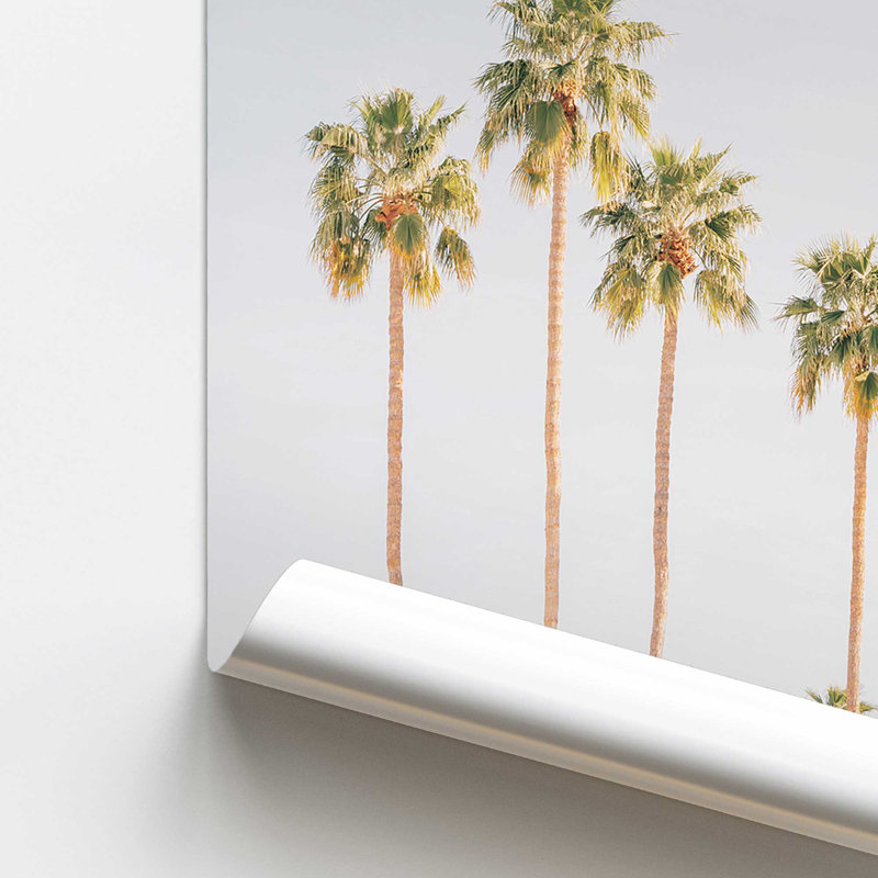Palm Tree Symphony, impression roulée, sans cadre, Papier, H 20 po x l 16 po x P 0,1 po