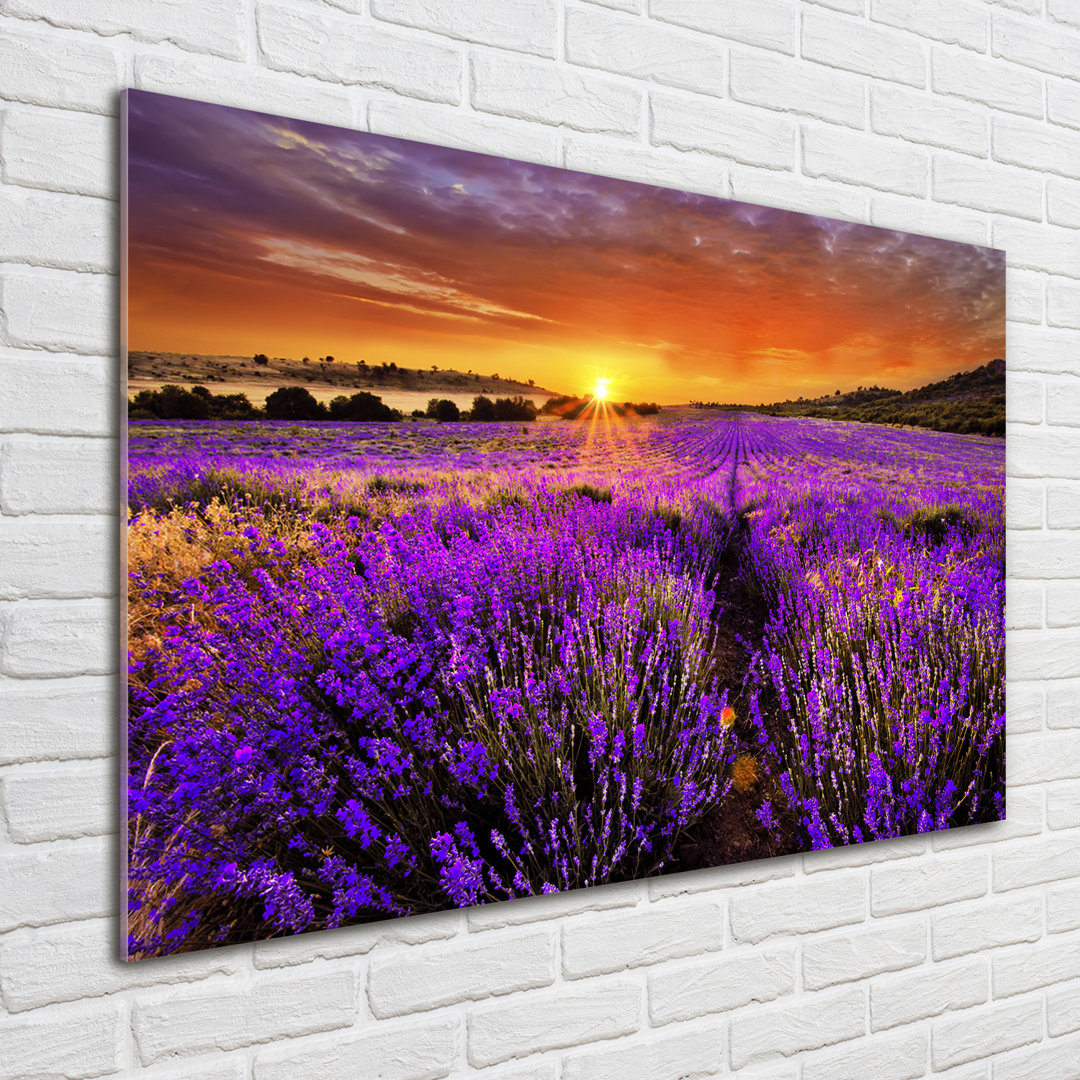 Lavender Field - No Frame Print on Glass