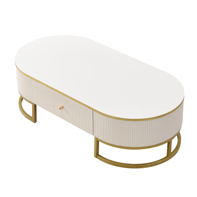 Modern Oval Coffee Table with Drawers