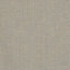 Allure Fabric