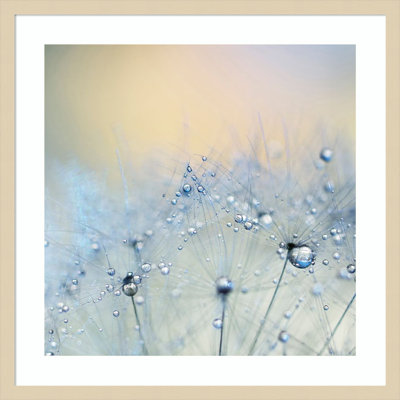 «Ice Blue» par Ingrid Beddoes, impression sur bois encadrée