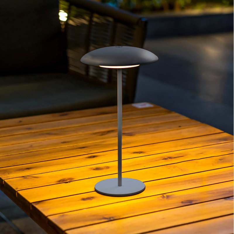 Lampe de table d'extérieur à DEL intégrée à pile 11 po