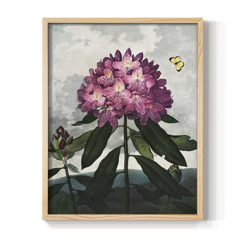 Temple of Flora X Framed Print - Solid Wood, 21" H x 17" W