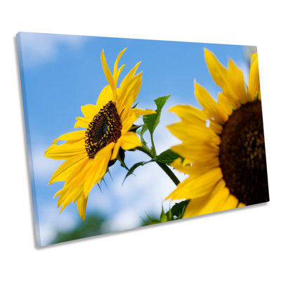 Floral Sunflowers Flowers - Wrapped Canvas Print
