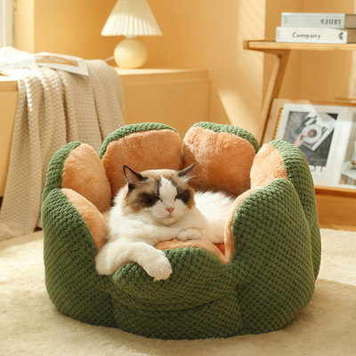 Lit pour chat et petit chien en forme de pétale de fleur de cactus, nid de canapé chaud en molleton corail ultra doux avec coussin lavable détachable, lit en peluche anti-dérapant pour chats d'intérieur et petits chiens, 23,6 po en vert (paquet de 1)