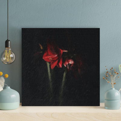 " Red Flower In Black Background " Painting Print
