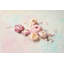 Ranunculus Petals I by Sylvia Cook - Wrapped Canvas Print-112928333