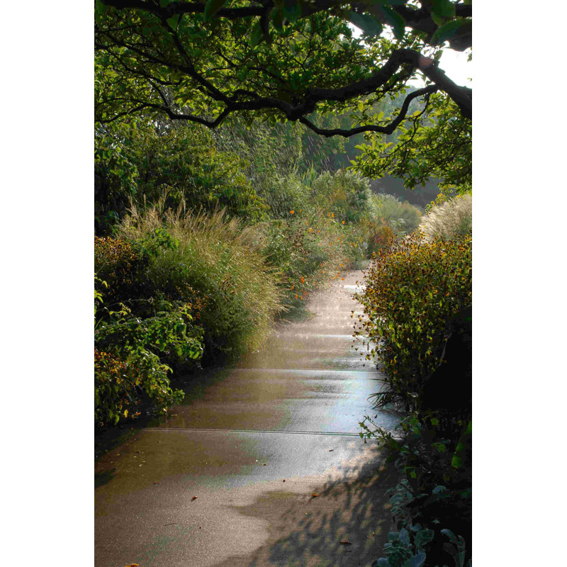 Sunlit Concrete Path, photographie sur toile tendue, H 18 po x l 12 po
