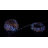 16ft RGB+IC Smart Outdoor Led Strip Lights Music Sync -633779250