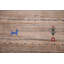 Tapis indien Gabbeh 8 x 1