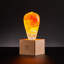 Lampe de table en bois 6,3 po