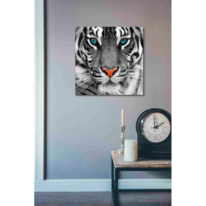 «Thrill of the Tiger», art mural sur toile, H 18 po x l 18 po x P 0,75 po