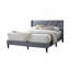 Cadre de lit 1pc élégant avec lit en tissu d'ameublement en velours gris moderne