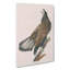White Headed Eagle by John Audubon - Wrapped Canvas Painting-55305259