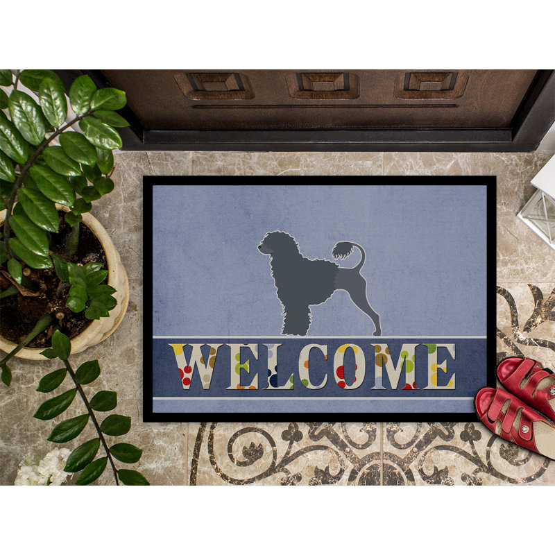 Tapis d'intérieur / extérieur antidérapant, L 36 po x l 24 po