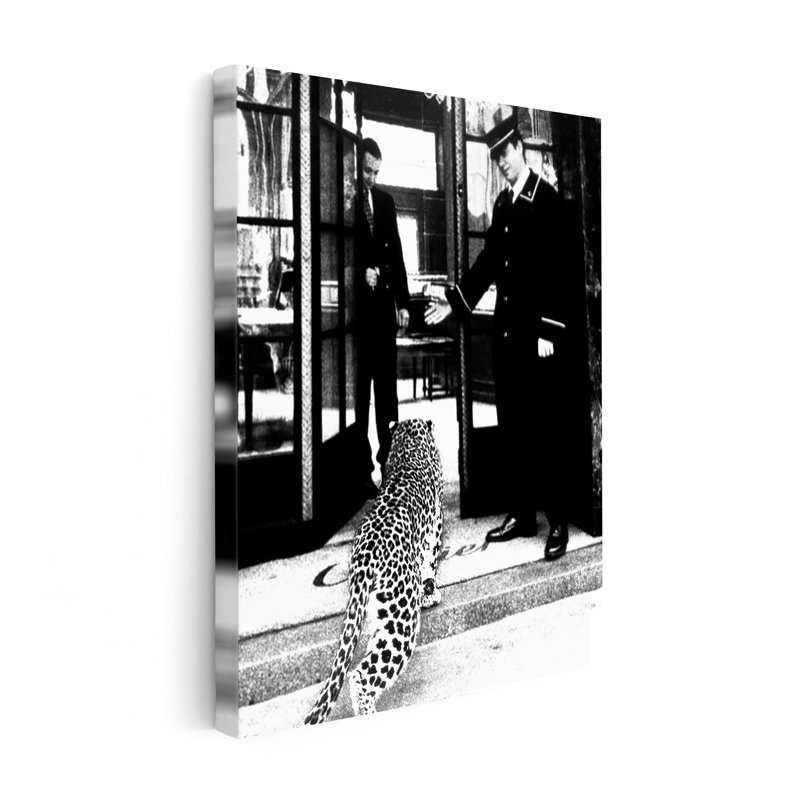 Panthère dans une boutique de mode, 24"H x 32"W, Canvas, Black Framed