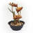 Aliyah-Lilly Metal Sculptural Fountain