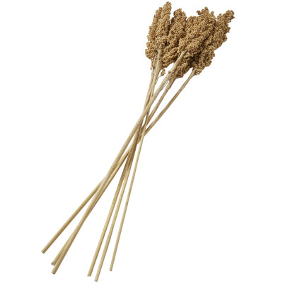 Clerkin Botanical Stems